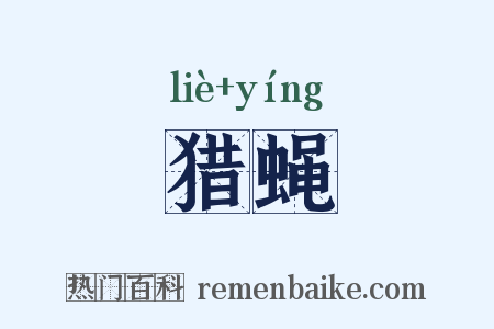 猎蝇是什么意思的图片